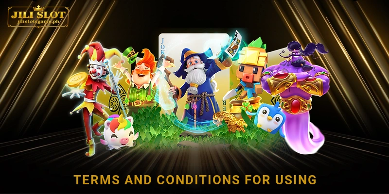 Terms and Conditions for Using the Service
