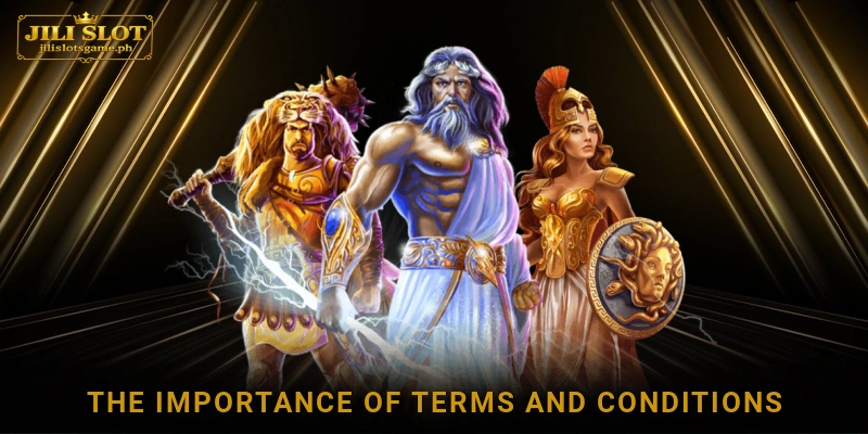 The Importance of Terms and Conditions
