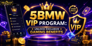 5BMW VIP program: Unlock Exclusive Gaming Benefits